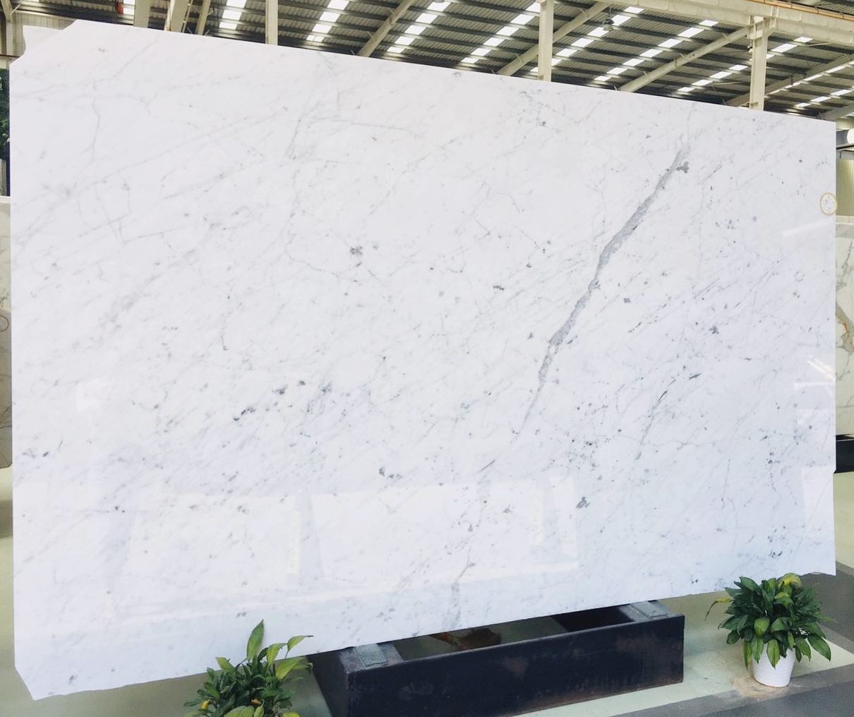 Carrara White 4