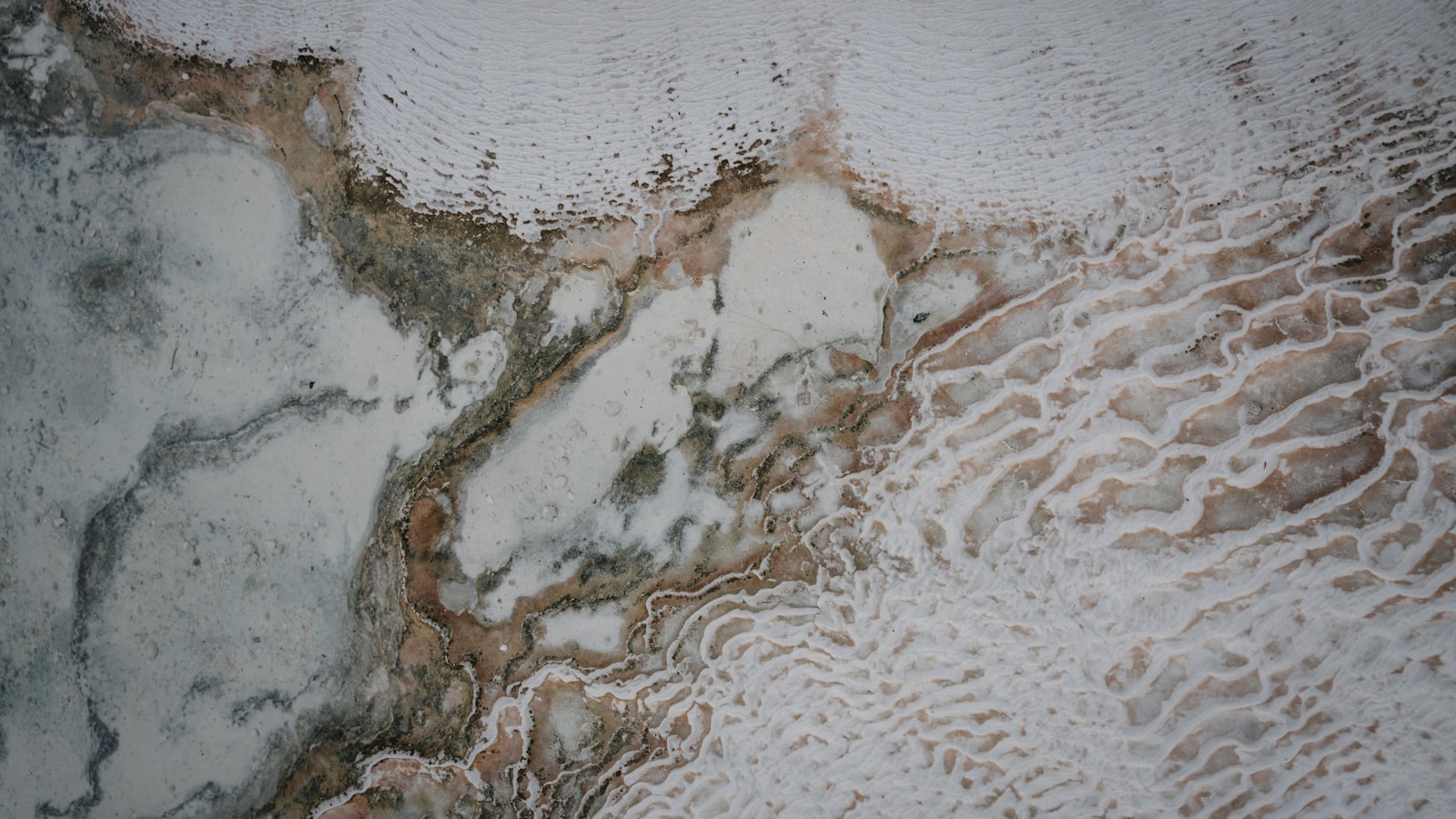 Travertine stone macro texture showing porous surface